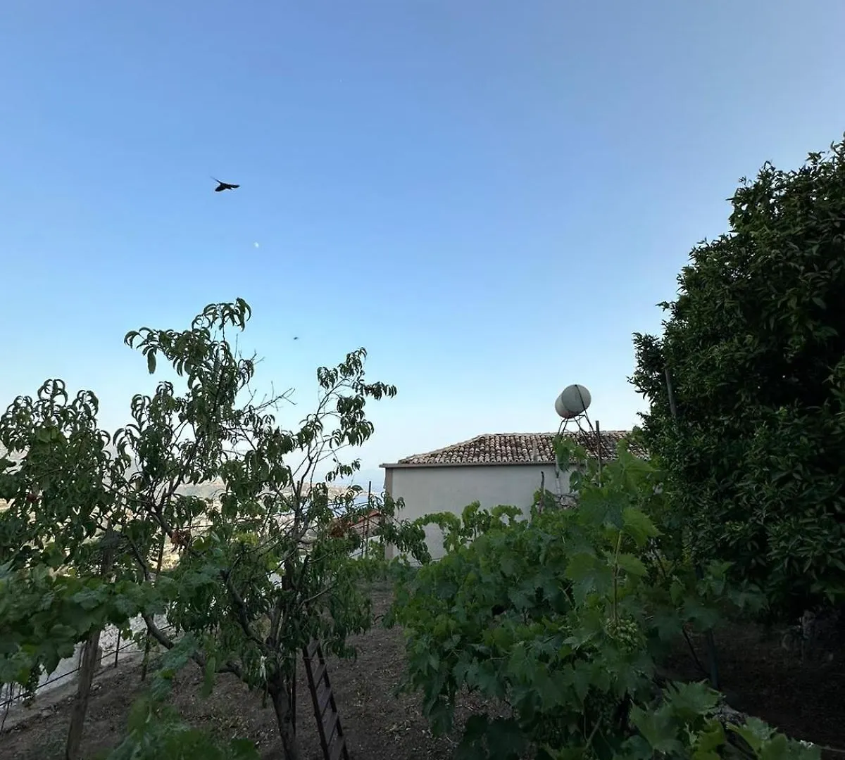 Ocean Breeze Apartment Himare 0*,  Albania